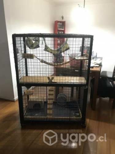 Jaula roedores, hurones y chinchilla