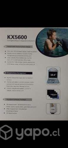 Ecografo uso veterinario