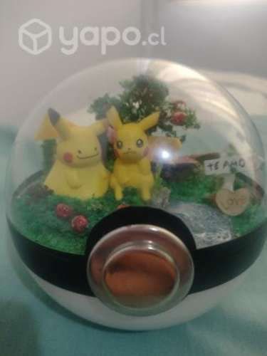 Pokebola terrarios
