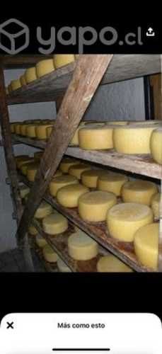 QUESO DE CAMPO MANTECOSO