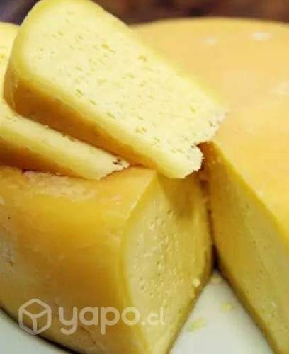 QUESO DE CAMPO MANTECOSO