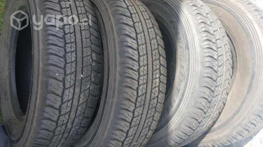 Neumaticos 225/70 R17
