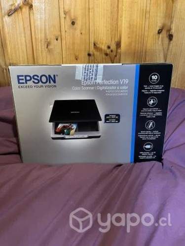 Scanner Epson Perfection V19