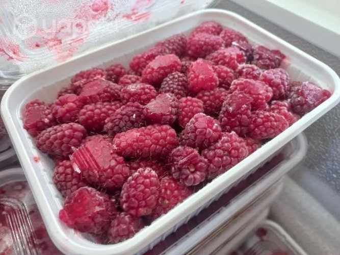 Frambuesas de temporada