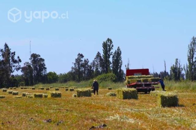 Terreno agrícola con casa grande y cómoda