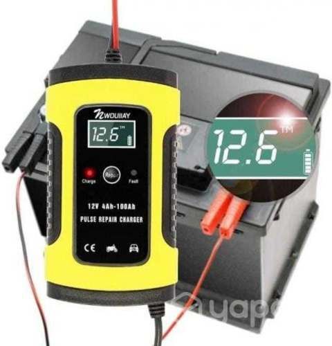 Cargador inteligente de batería de auto