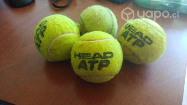 Raquetas de tenis head fundas y pelotas