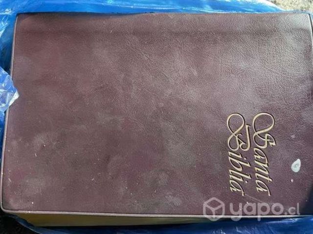 Santa biblia