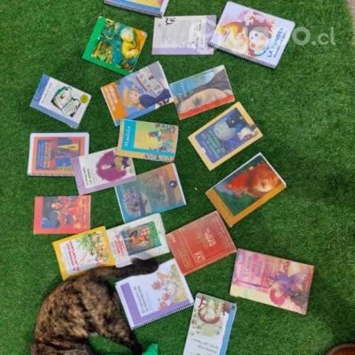 Libros para el colegio
