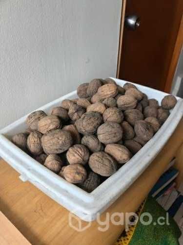 Nueces de exportación