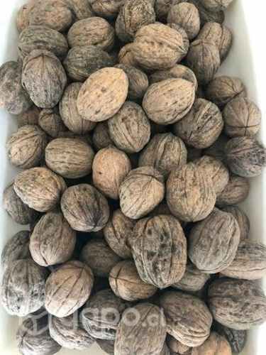Nueces de exportación