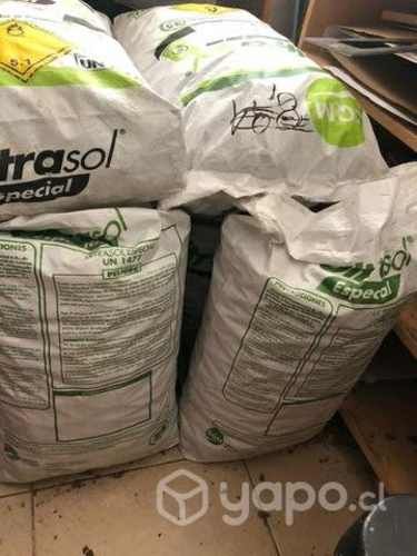 Nueces de exportación