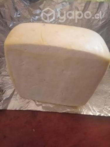 Queso de vaca