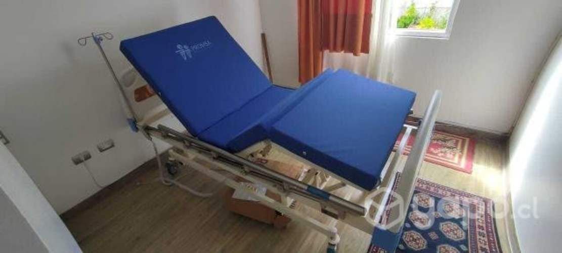 Cama Clinica Electrica 3 posiciones