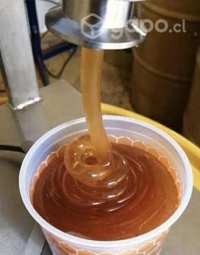 Miel autral de ulmo y tiaca