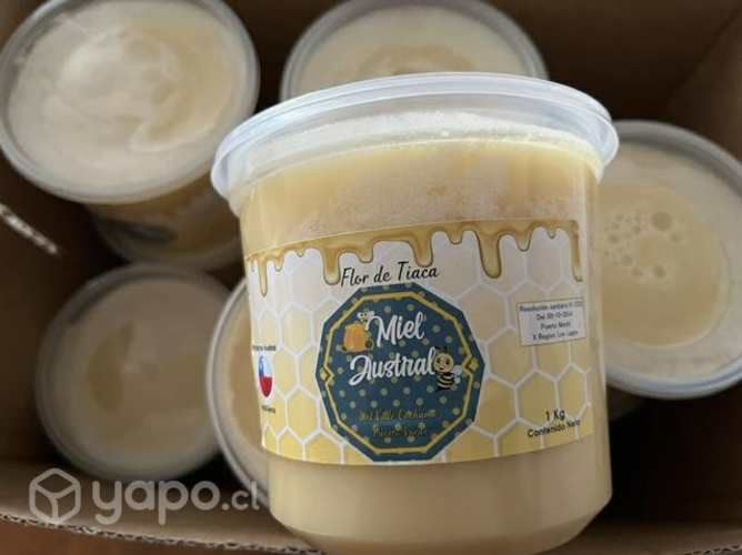 Miel autral de ulmo y tiaca