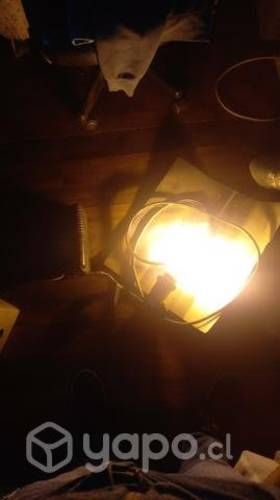 Carpa de indor mas foco 600 watts usados