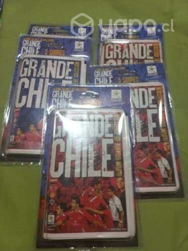 Sobre Salo Grande Chile 2009