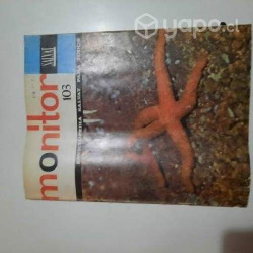 Revista monitor 1