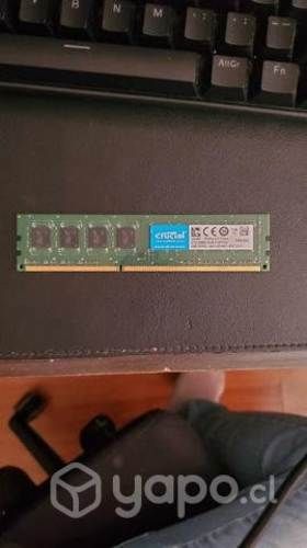 Proce, rams, disipador