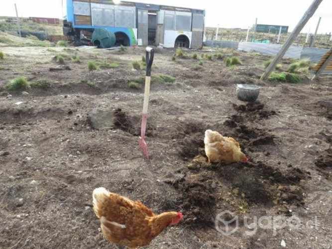 Parcela con casa sector mina rica