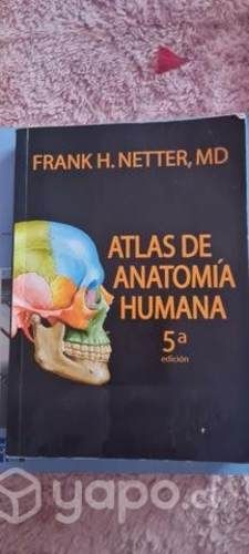 Atlas anatomia humana 5 edición