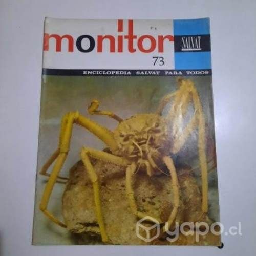 Revista monitor 2