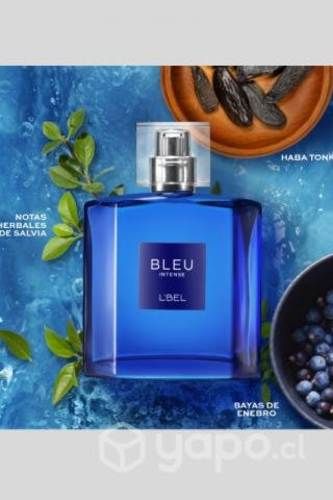 Perfume para Caballero Bleu Intense 100 ml
