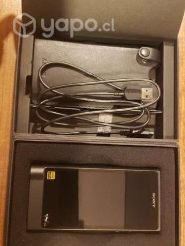 Sony walkman NW ZX2 128 GB