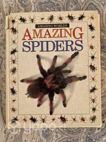 Libro "Amazing spiders