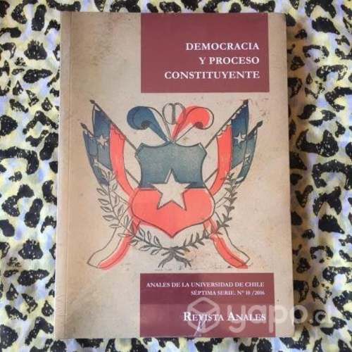 Democracia y proceso constituyente