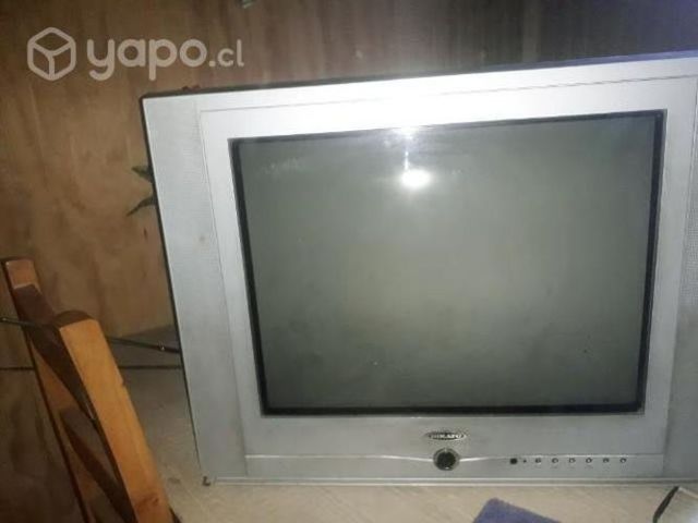 Televisor