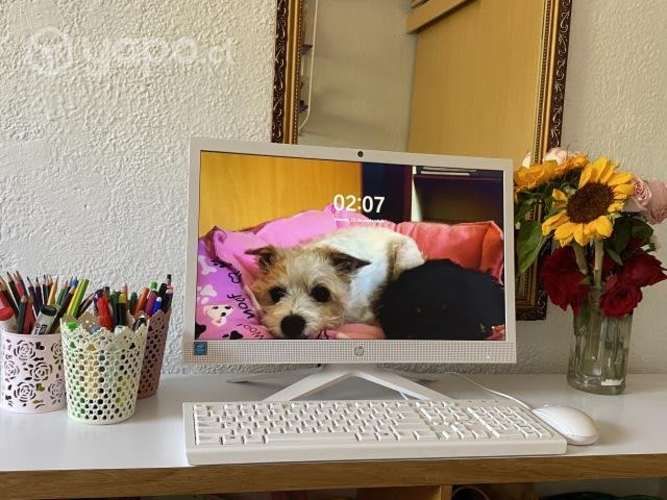 Hp all in one seminuevo