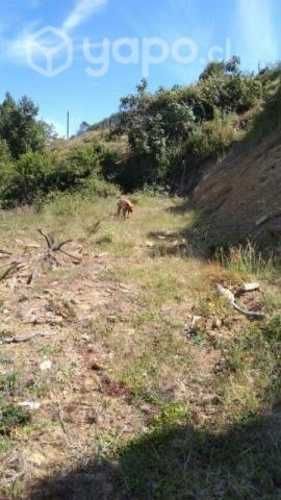 Terreno San Juan de la Costa - Tril Tril