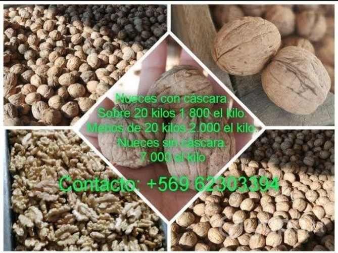 Nueces cosecha del año