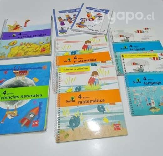 Libros cuarto básico _ colegio Punta Arenas