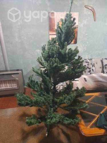 Árbol de navidad y luces