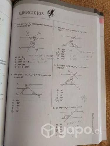 Libro de ejercicios matemáticas Cpech