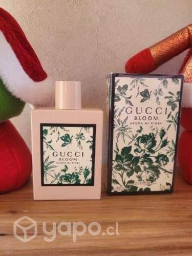 Gucci bloom