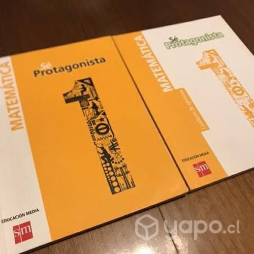 Libro Matemática 1ro medio (en excelente estado)