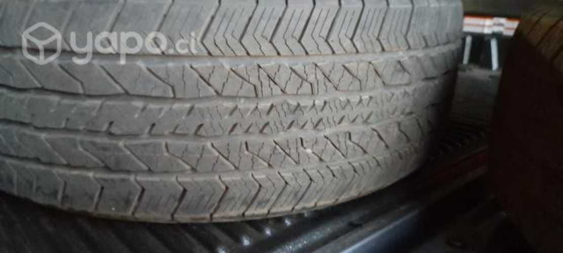 Neumaticos camioneta