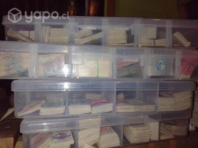 Boletos de micro a elección 200uds