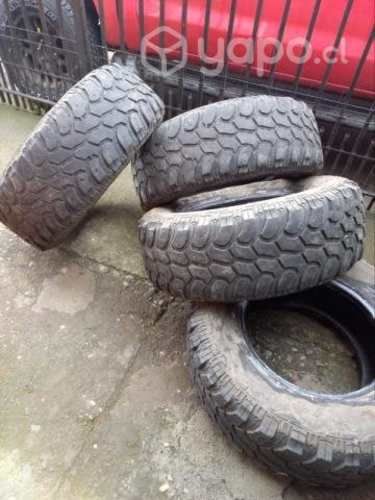 Neumáticos semi pantaneros