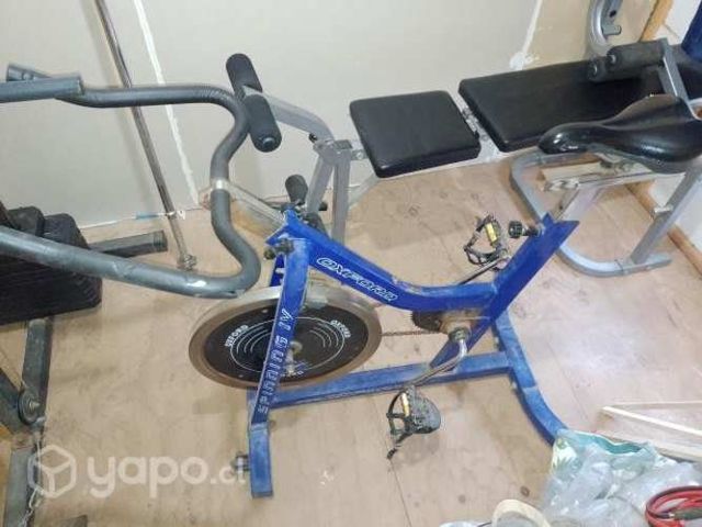 Bici estatica Oxford