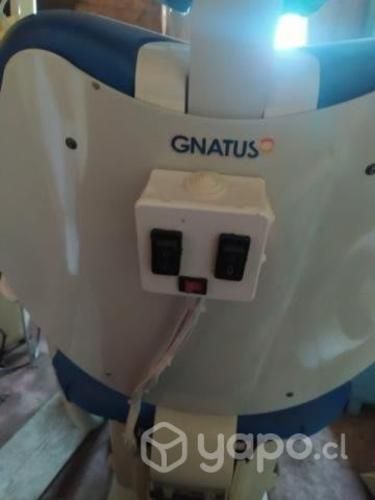 Sillón dental marca gnatus