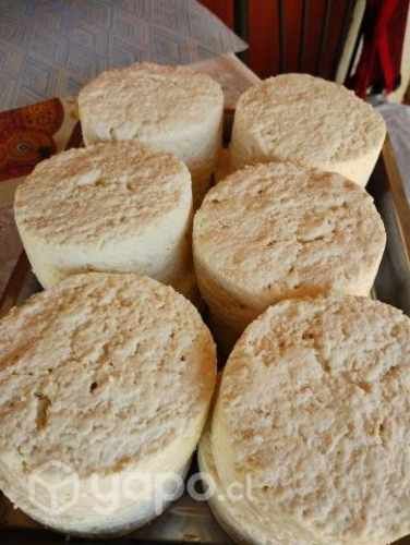 leche y queso de cabra artesanal