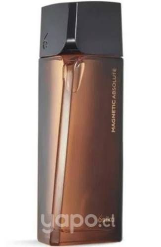 Magnétic absolute y magnat
