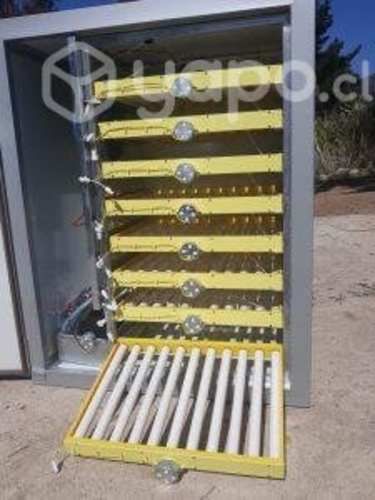Incubadora 500 huevos Full Automatica