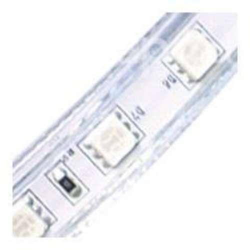 Manguera Tira Led Por Metro SMD5050 RGB Multicolor