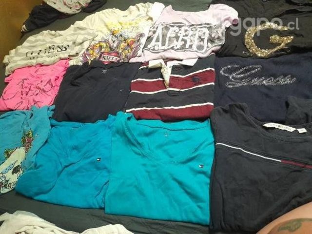 Lote de poleras de marca manga larga y corta